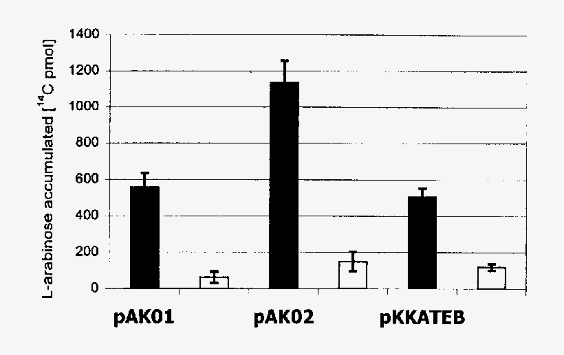 L [ 14 C]arabinose Accumulation By E, transparent png #7571250