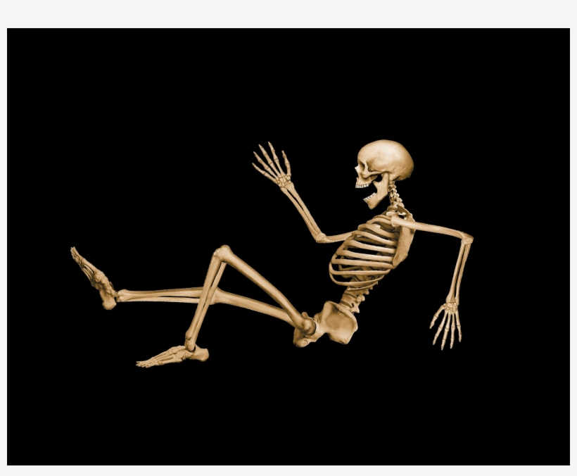 Skeleton Png Images, transparent png #7571561