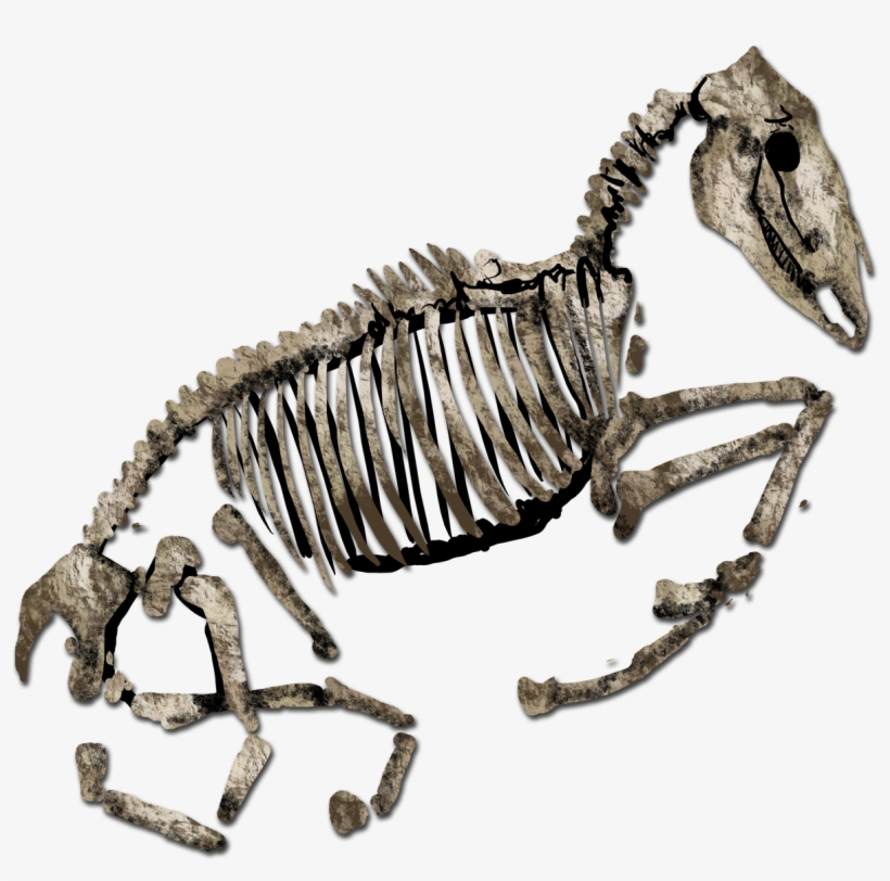 Improved Levels Graphics For Age Of Fear, transparent png #7573955