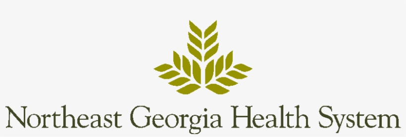 New Hospital, New State Patrol Post For Ne Ga, transparent png #7578237