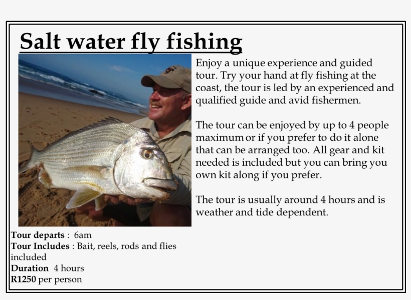 Fly Fish -, transparent png #7581781