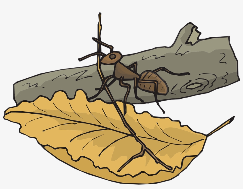 Final Destination Of Life, transparent png #7582595