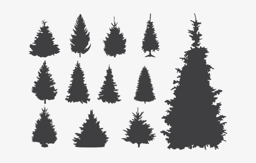 Sapin Silhouettes Vector, transparent png #7582964