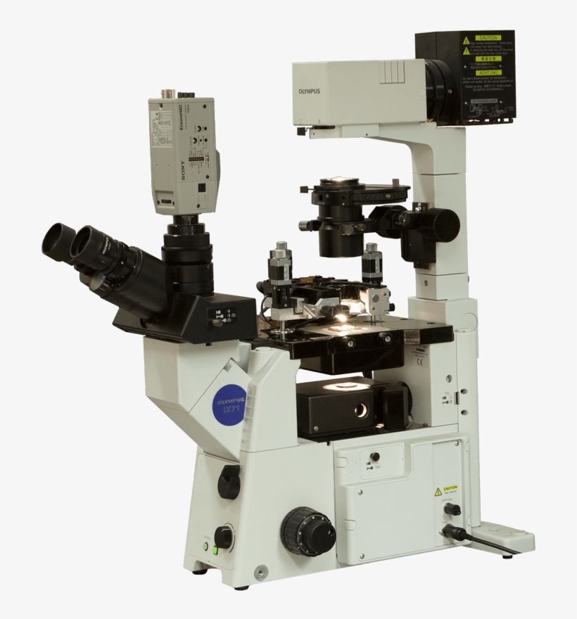 Certus Optic Atomic Force Microscope, transparent png #7583245
