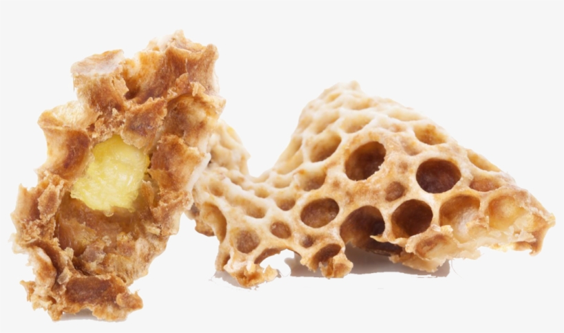 La Jalea Real Es Un Rico Tesoro De Nutrientes Y Energía, transparent png #7583246