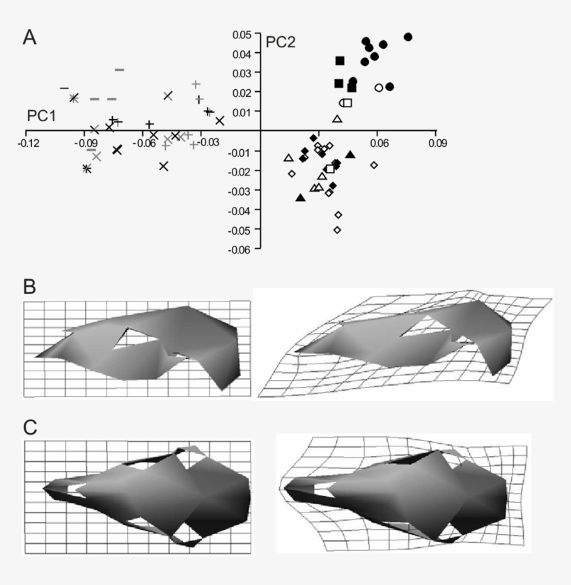 Plot Of Pc1 Against Pc2 From The Analysis Of All 70, transparent png #7583675