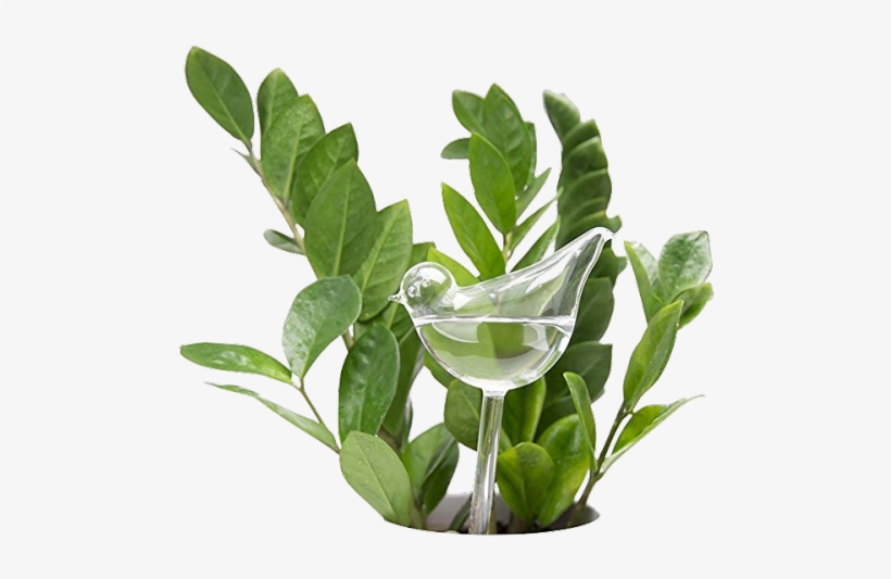 Tumblr Plants Png Free Transparent Png Download Pngkey