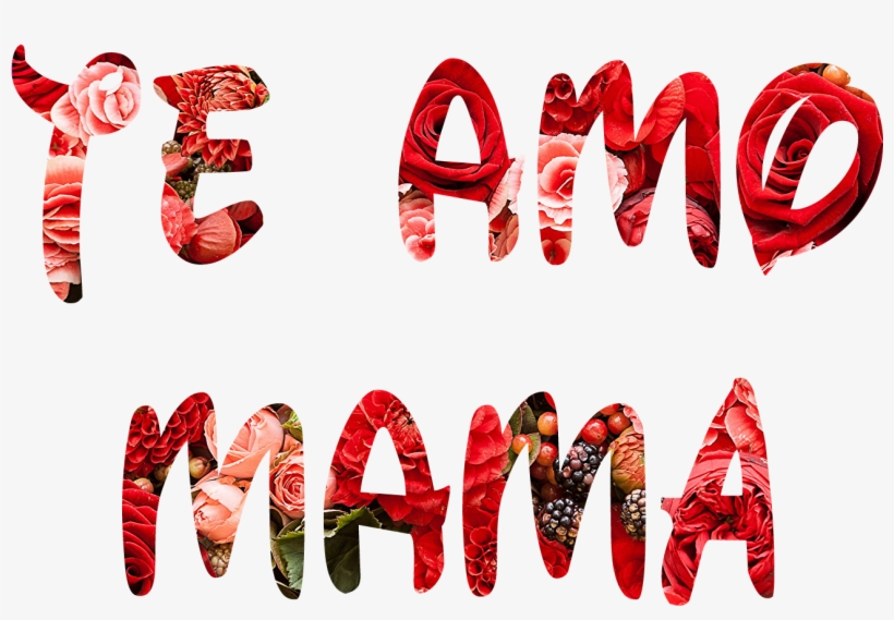 Se Puede Aumentar El Tamaño De La Letra O Reducirla, transparent png #7586668