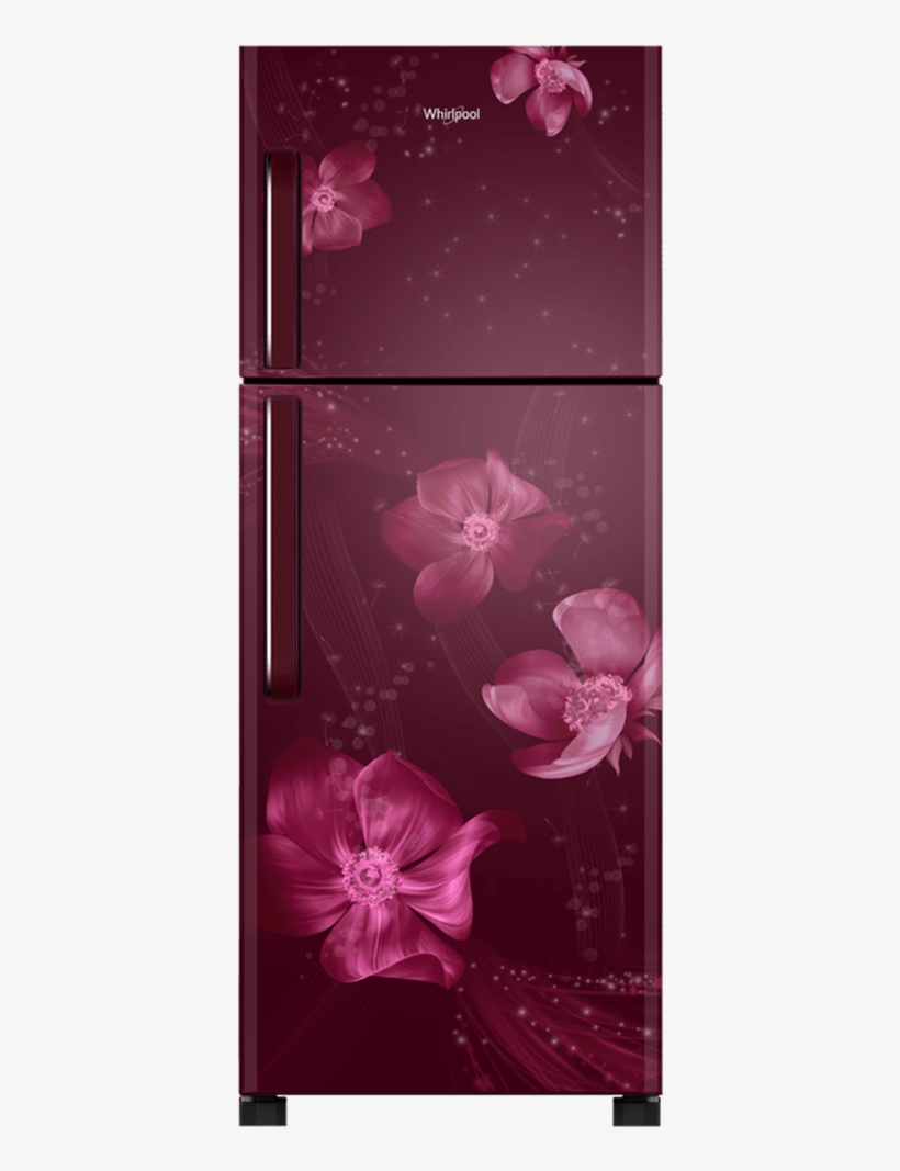 Picture Of Whirlpool Ref Whirlpool Refrigerator 265 Ltr Double Door