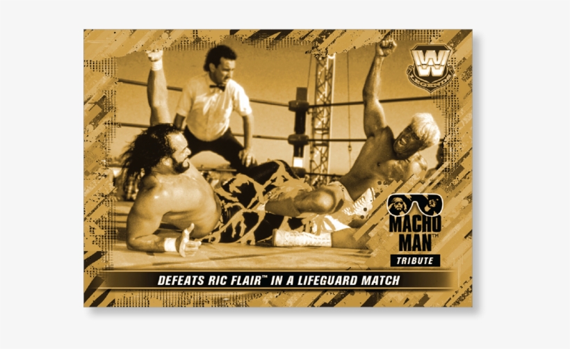 Gallery - Bull Riding, transparent png #7588281