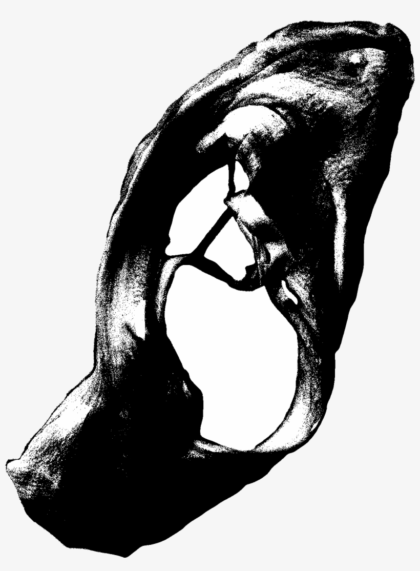 1800 X 1800 6 - Illustration, transparent png #7590252