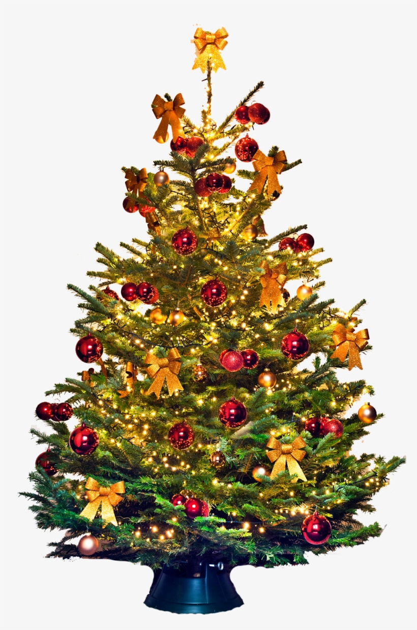 Christmas Tree Clipart, Placemat, Clip Art, Illustrations, - Versierde Kerstboom, transparent png #7590925