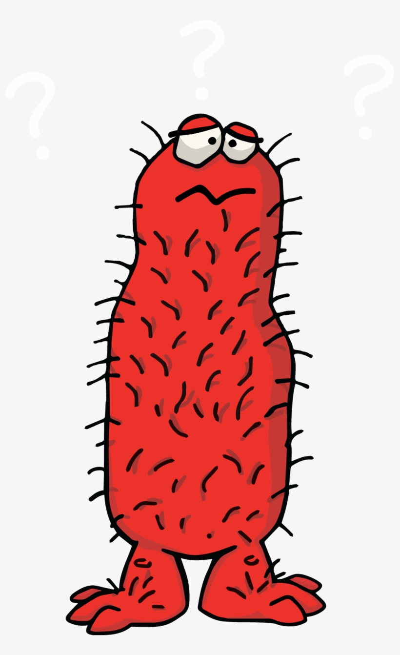 Hairy Confusedred - Illustration, transparent png #7591705