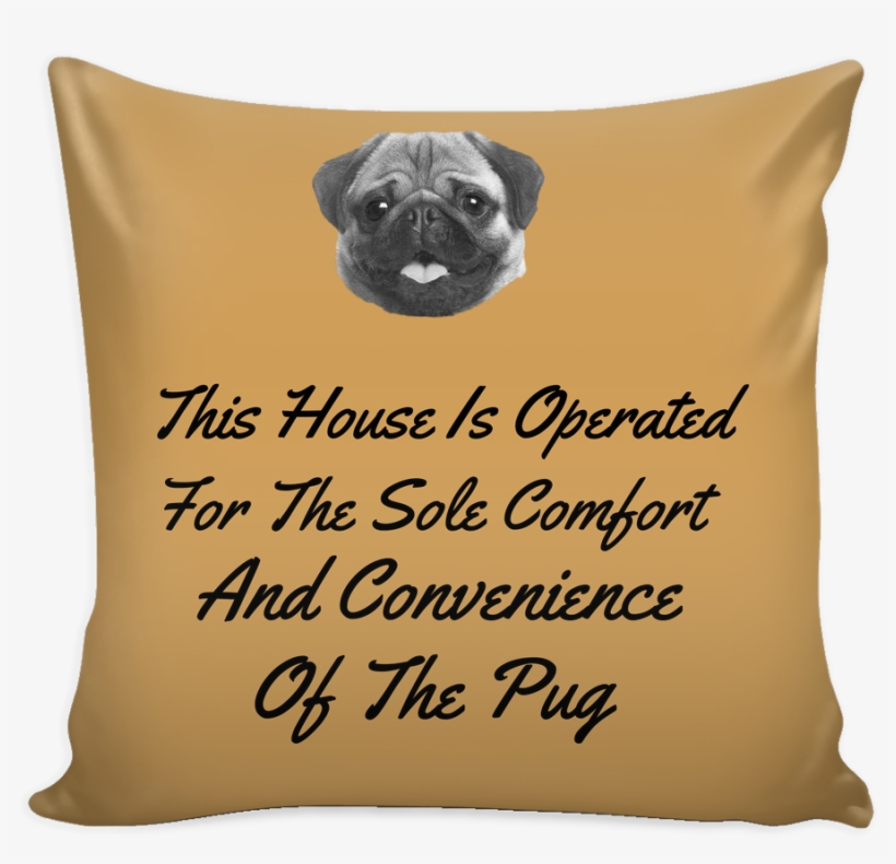 Cushion, transparent png #7593109