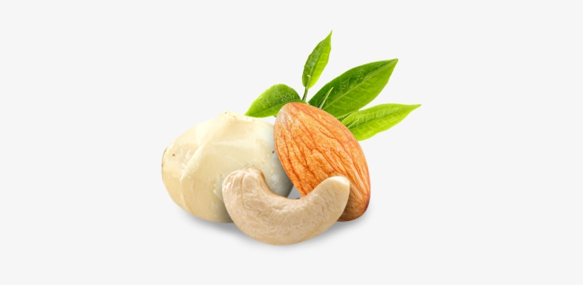 Cashew, transparent png #7594195