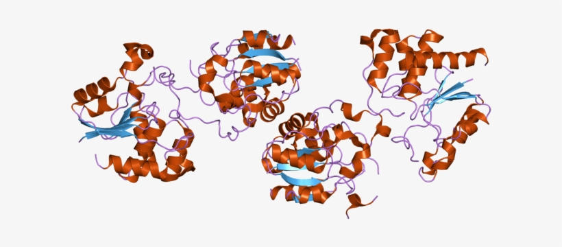 Pdb 2c46 Ebi - Illustration, transparent png #7594980