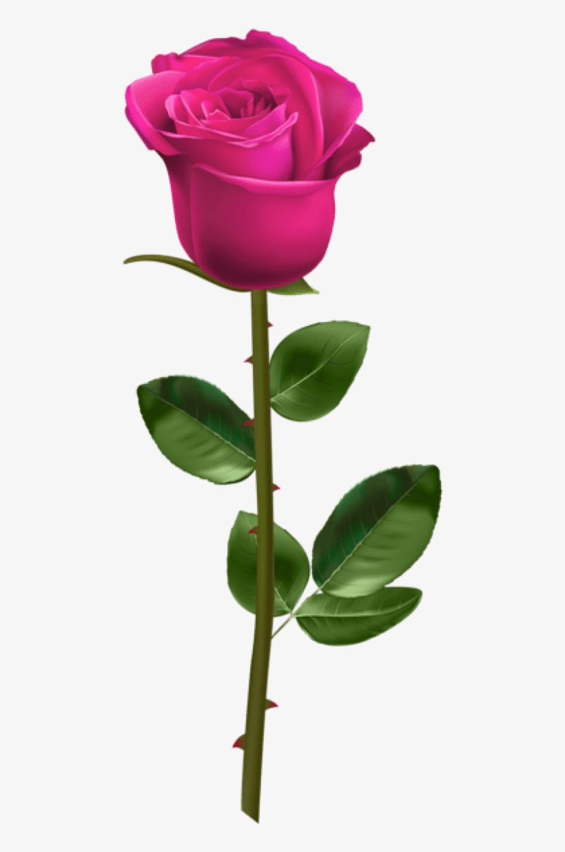Free Png Download Pink Rose With Stem Transparent Png - Red Rose With Stem Transparent, transparent png #7595691