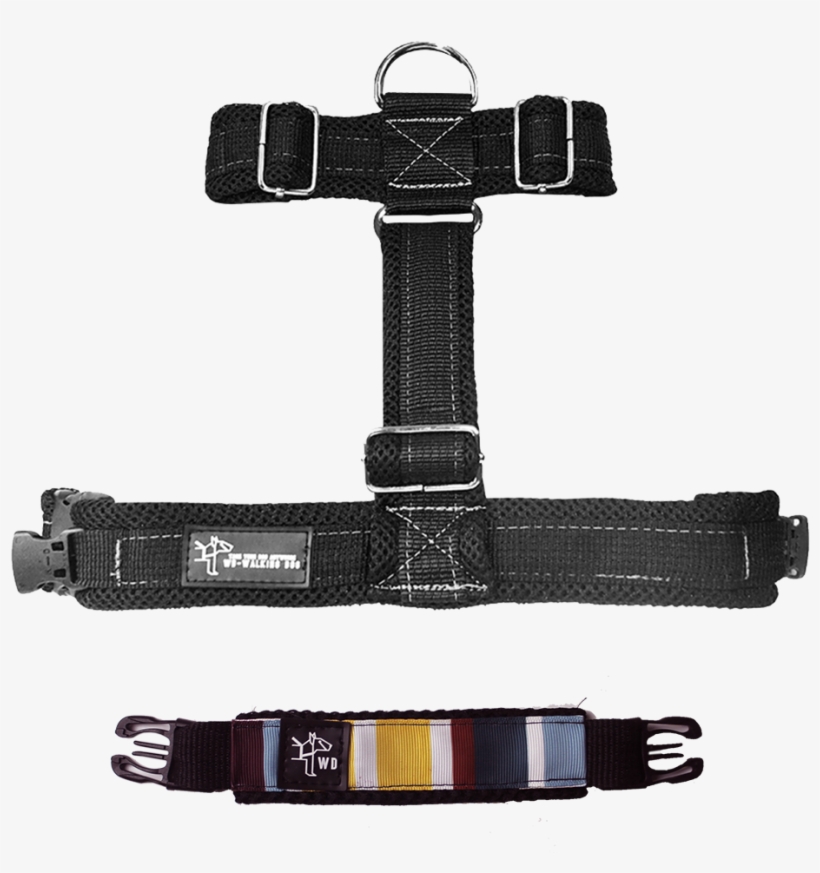 Wd Walking Dog - Dog, transparent png #7596499