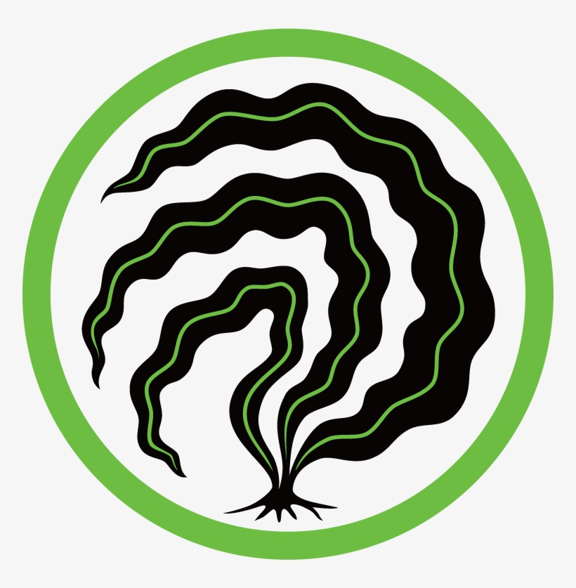 Clip Art, transparent png #7596990