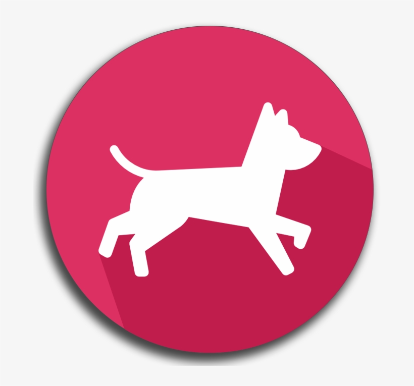 Feeding, Walking, Transporting, And Taking Care Of - Canaan Dog, transparent png #7597027