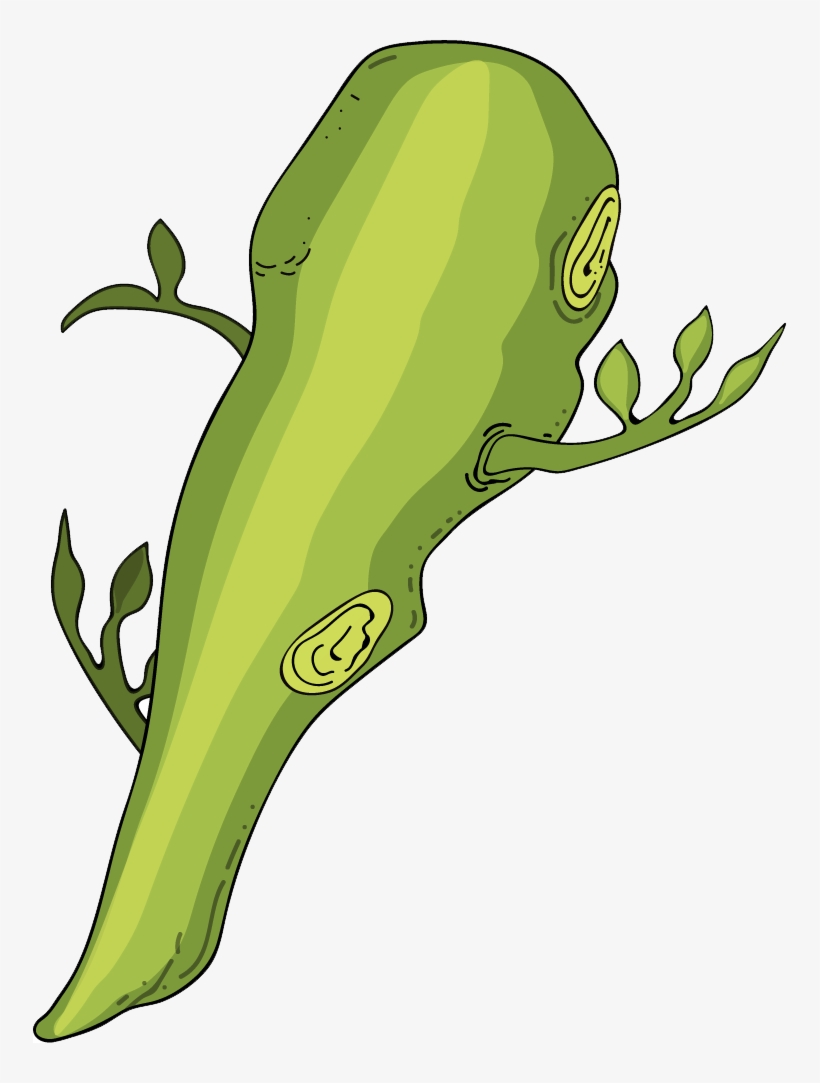 Gcse Spanish Club In Cardiff, transparent png #7597652