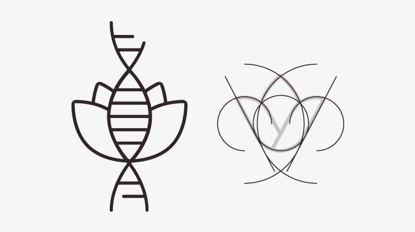 Two Elements Have Been Considered As Pillars Of The - Line Art, transparent png #7598691