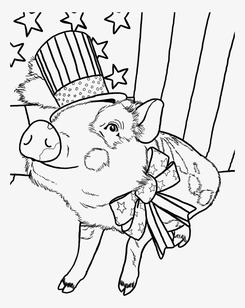 The American Mini Pig Coloring Book Series Clipart - Coloring Book Transparent, transparent png #760721