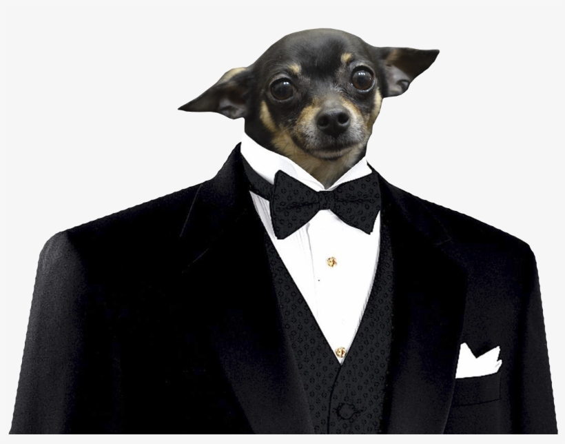 If You Want To Write To Spot, Address Letters To - Elephant In A Suit, transparent png #761430