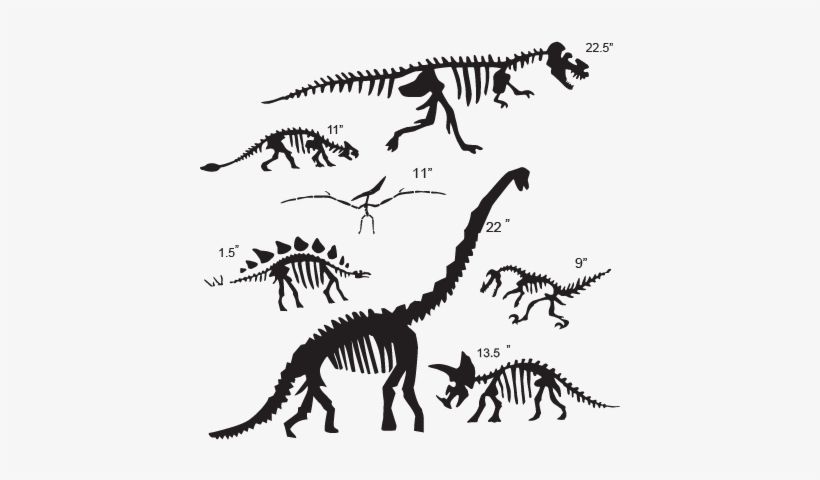Bone Drawing Triceratops - Dinosaur Fossil Black And White, transparent png #761610