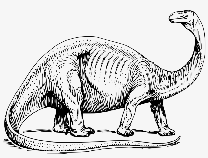 Dinosaur Bones Clipart - Brontosaurus Black And White, transparent png #761874