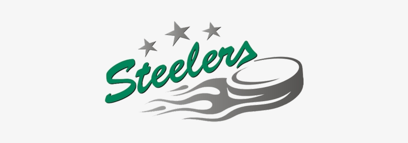 Bietigheim Steelers - Sc Bietigheim-bissingen, transparent png #762832