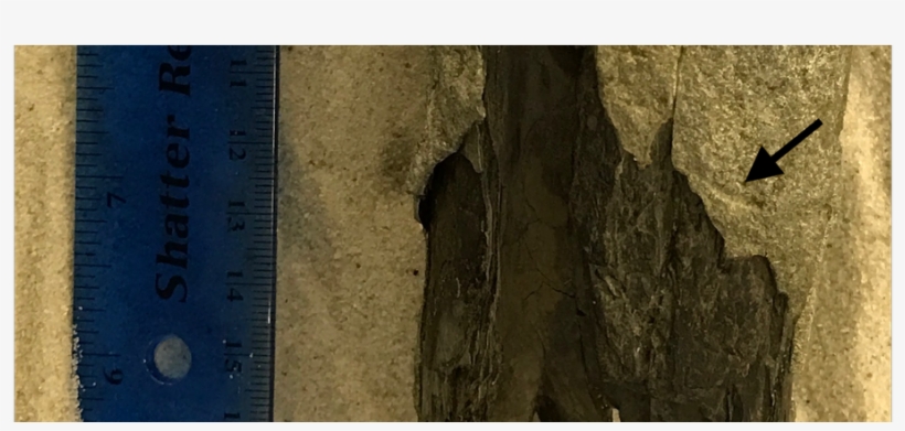 My Paper Describing This And Other Traces On Eastern - Igneous Rock, transparent png #762851