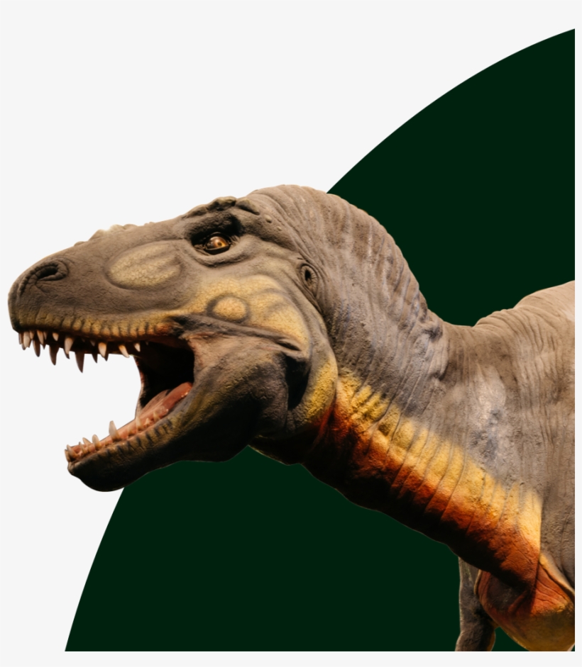 Dinosaur - Saint Louis Science Center, transparent png #763067