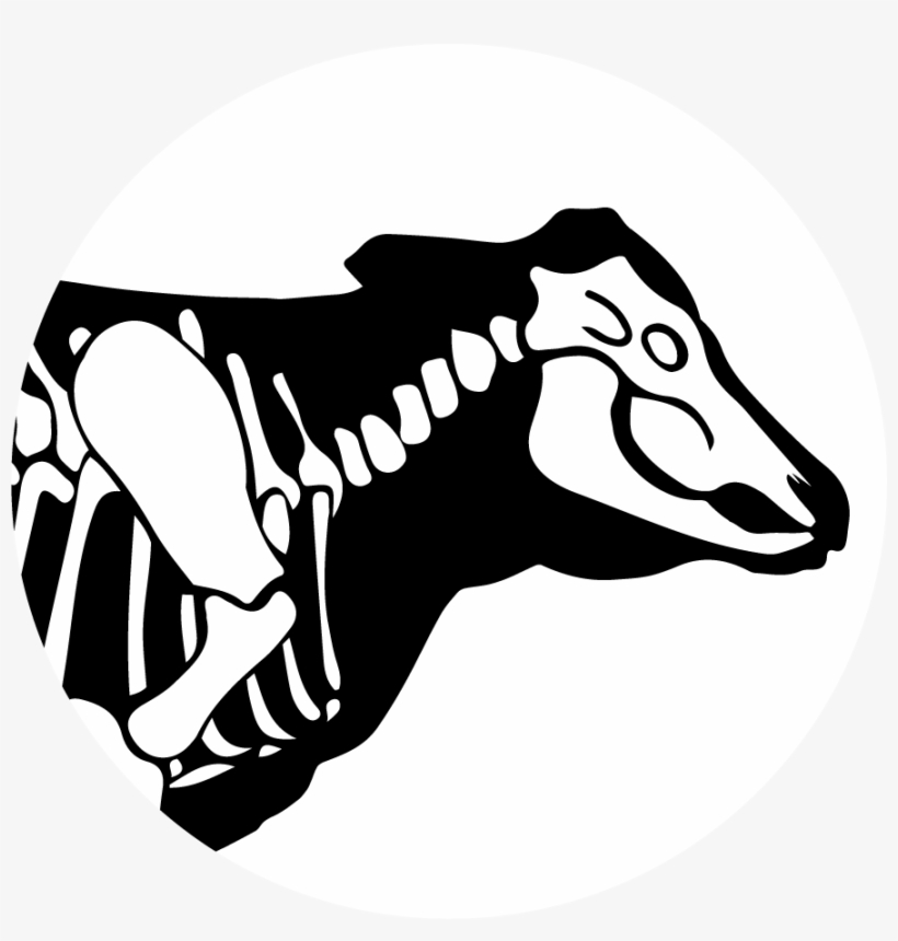 Bbb Insta - Bare Bones Butcher, transparent png #763091