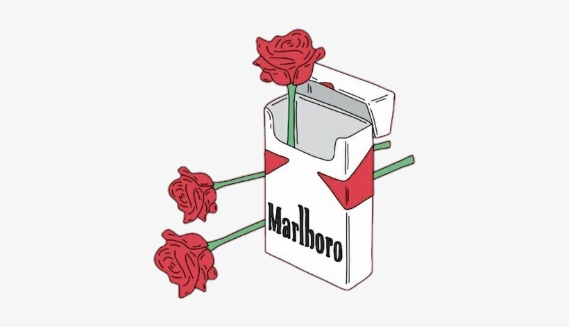 Report Abuse - Marlboro Rose, transparent png #765014
