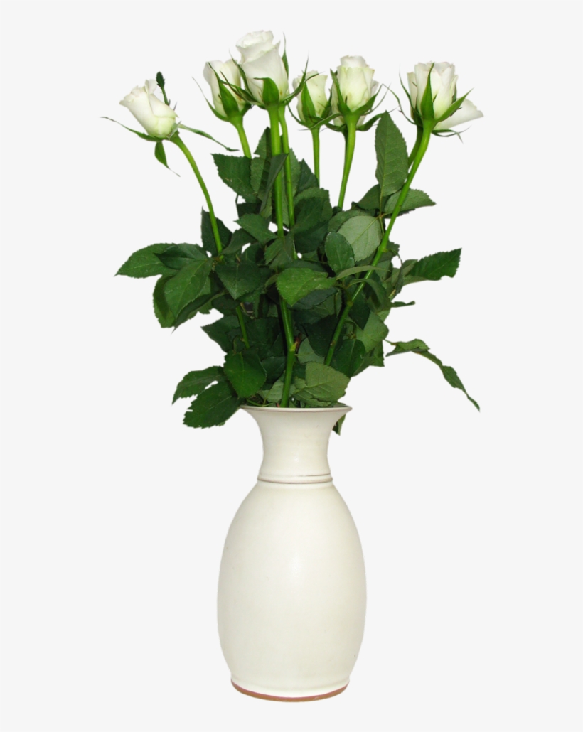 Transparent Flower Vase Png, transparent png #766697