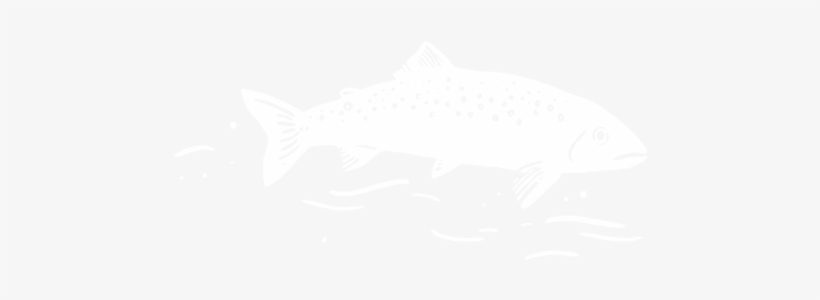 Forest Fins And Footprints - Ps4 Logo White Transparent, transparent png #766949