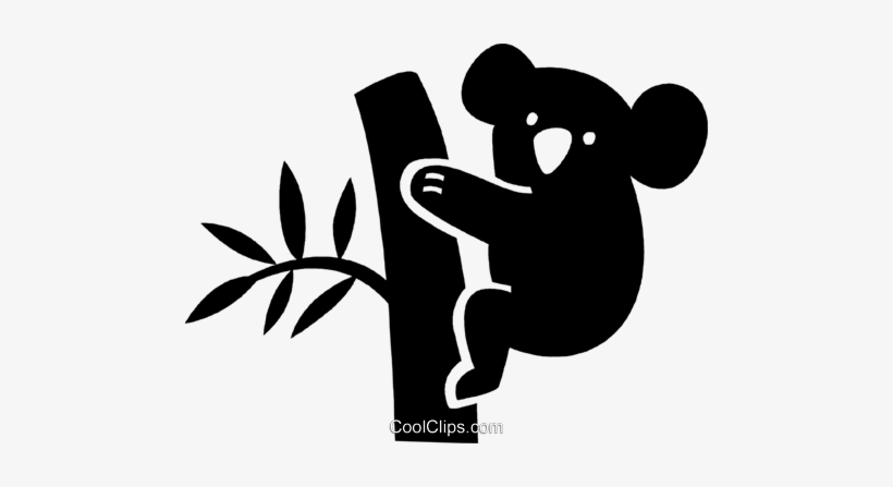 Koala Bear - Use Your Initials To Find Your Name, transparent png #767082