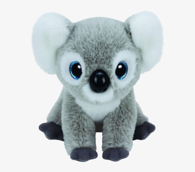 Kookoo The Koala Beanie - Ty Beanie Boos Koala, transparent png #767291