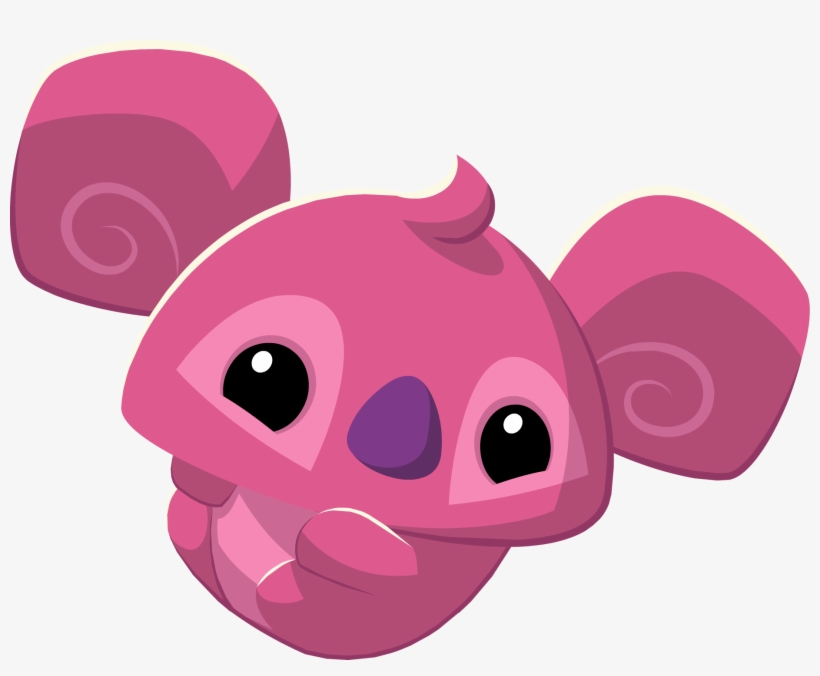 Pet Koala Graphic - Animal Jam Koala, transparent png #767327
