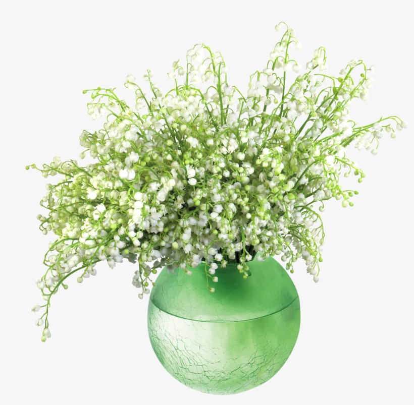 Lily Of The Valleyin Vase Png Clip Art Image - Lily Of The Valley In Vase, transparent png #767351