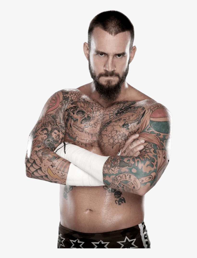 When Fans Have Complaints About The Wwe's Product, - Cm Punk Png, transparent png #767368