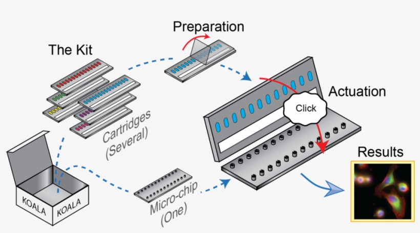 Koala Overview2-04 - Electronics, transparent png #767734