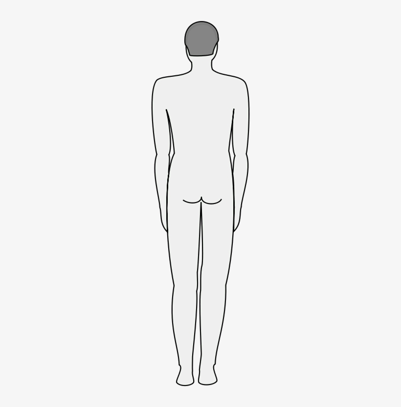 Figure Drawing, transparent png #768091