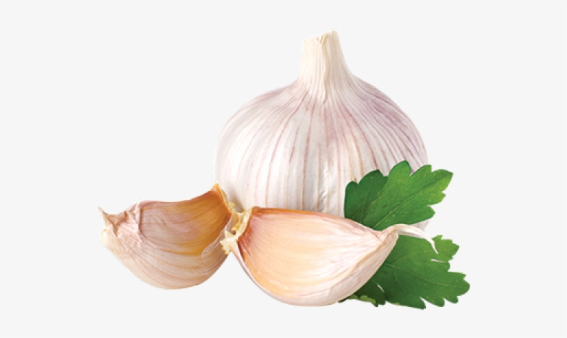 Garlic Png - Garlic Onion Png, transparent png #769010
