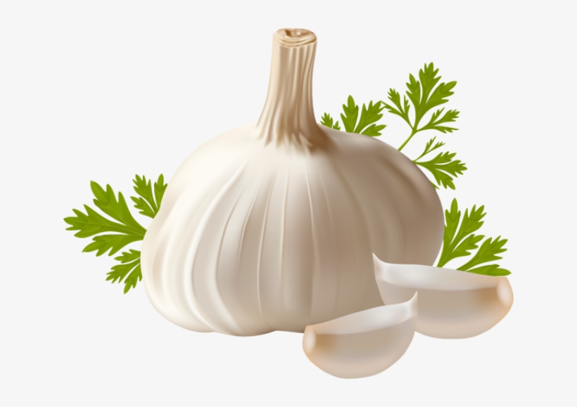 Garlic Png, transparent png #769203