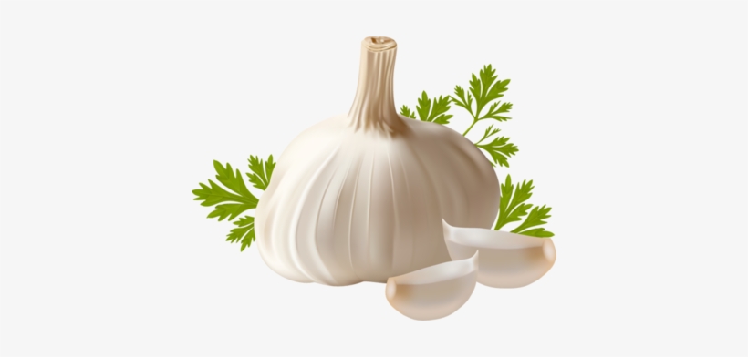 Garlic - Garlic Png, transparent png #769248