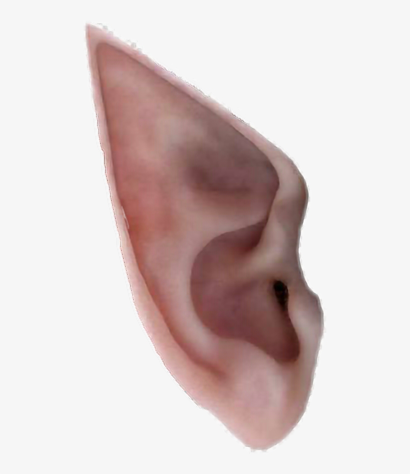Ears Sticker By Oirishnicole - Elf Ear Png, transparent png #769270