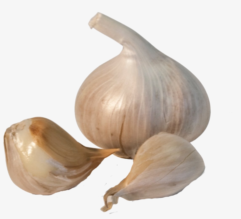 Garlic Png Transparent Image - Garlic Transparent, transparent png #769349