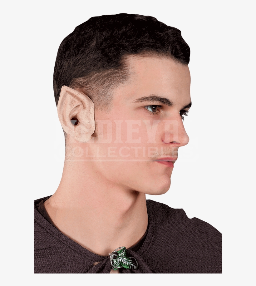 Lotr Elf Ears - Adult Elf Ears (fancy Dress), transparent png #769374